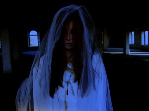 Un fantôme (AdinaVoicu, Pixabay, libre de droits)